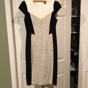 Womens fall/winter dress in size 8.